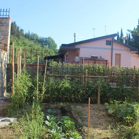 Dei Sogni * Greve in Chianti